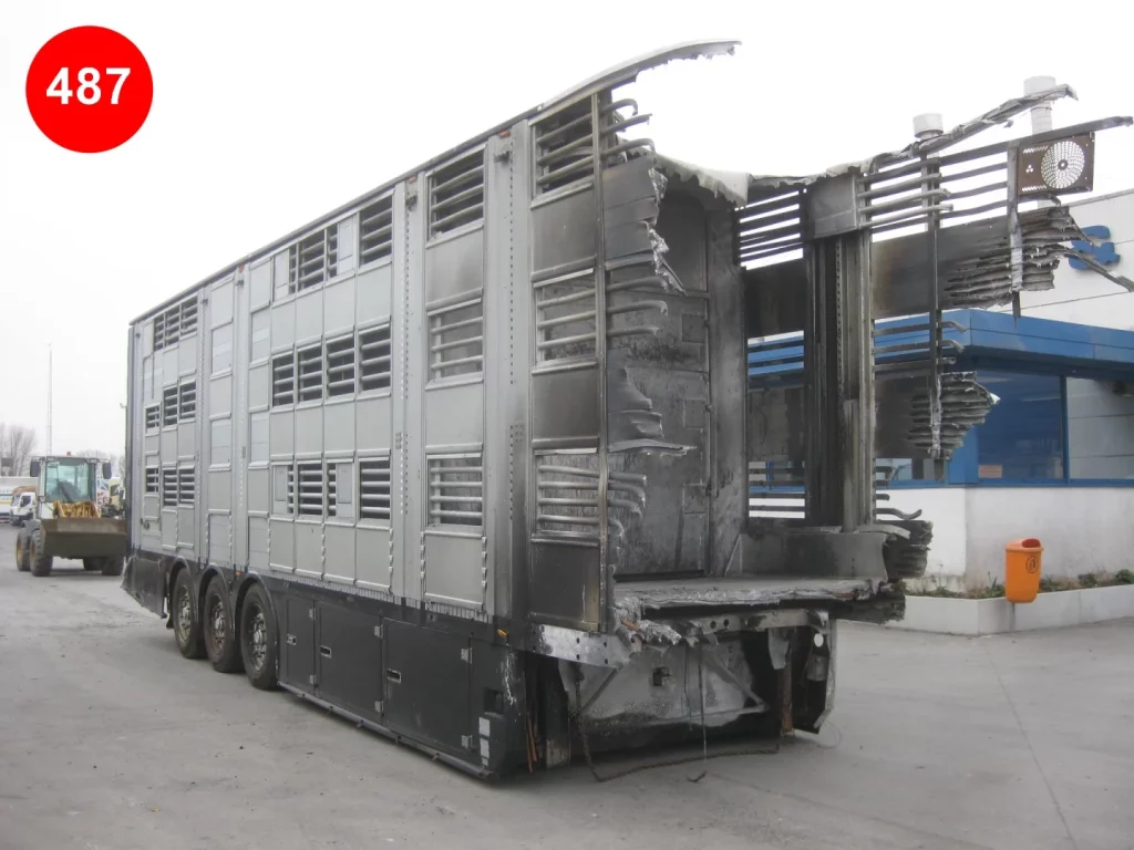 itt_vehicle_file_6a957747d31d7.webp