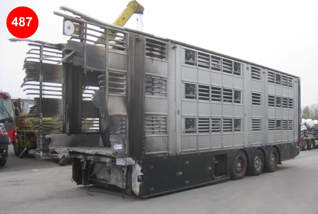 itt_vehicle_file_6a95774944a36.webp