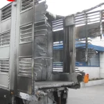 PEZZAIOLI SBA63