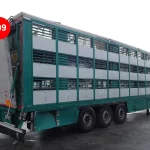 LECITRAILER VIEHTRANSPORT / LIVESTOCK TRANSPORT