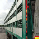 LECITRAILER VIEHTRANSPORT / LIVESTOCK TRANSPORT